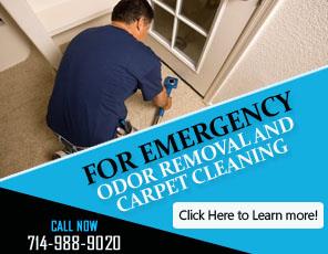 Mold Removal - Carpet Cleaning Buena Park, CA