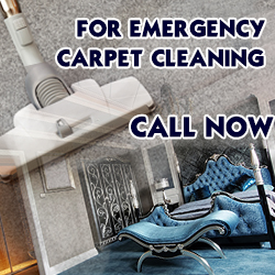 Contact Carpet Cleaning Services